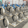 304 vs 316 vs 316L Stainless Steel Butterfly Valves