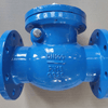 What Is a Swing Check Valve Used For