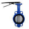 Butterfly Valve