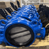 butterfly-valve2