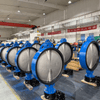 How to Choose the Right Butterfly Valve Type
