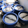 Check valve