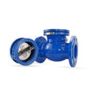 Swing Check Valve vs Dual Plate: Which to Choose?