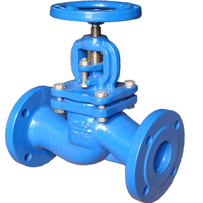 ANSI globe valve