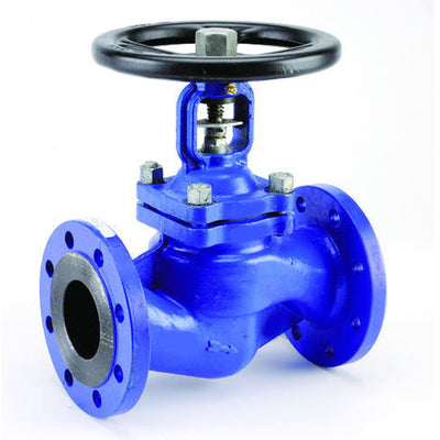 ANSI globe valve