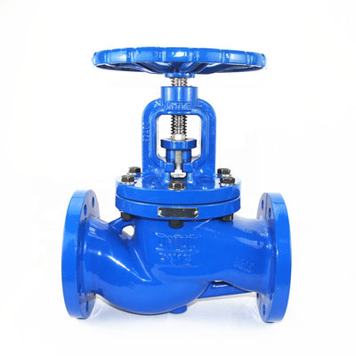 Cast iron globe valve