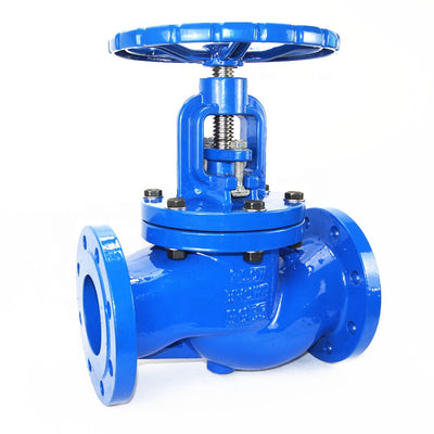 Cast iron globe valve