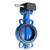 Cast Iron Wafer Butterfly Valve