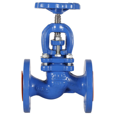 DIN Globe Valve