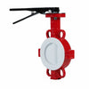 PTFE Butterfly Valve