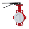 PTFE Butterfly Valve