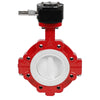 PTFE-lug-butterfly-valve-1