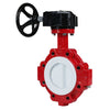 PTFE-lug-butterfly-valve-3