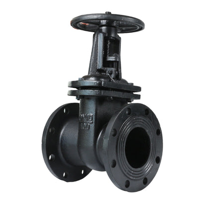 Parallel Double Discs Gate Valve 30ch6br