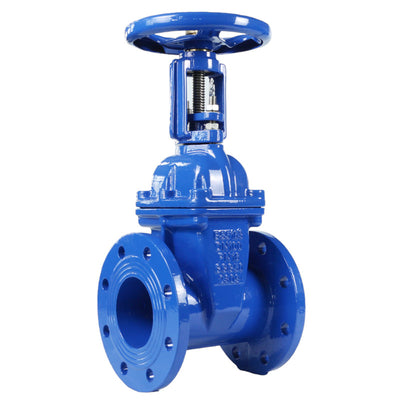 Rising Stem Resilient Seated Gate Valve