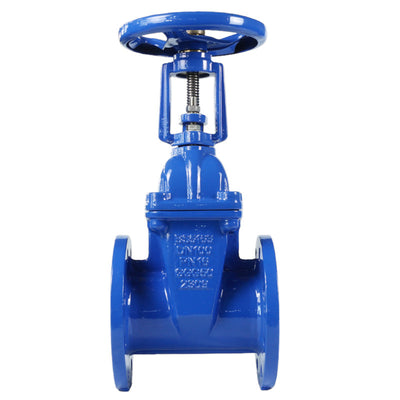 Rising Stem Resilient Seated Gate Valve