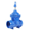 Socket Type Soft Seal Gate Valve Square Cap