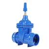 Socket Type Soft Seal Gate Valve Square Cap