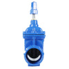 Socket Type Soft Seal Gate Valve Square Cap