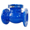 Swing Check Valve