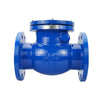 Swing Check Valve