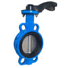 Wafer Butterfly Valve(Four Holes With Tongue-And-Groove Seat)